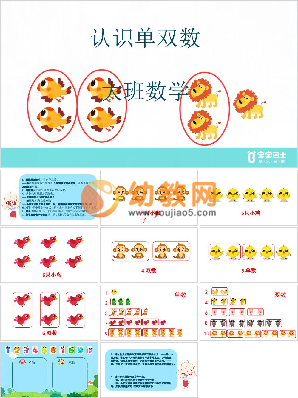 大班数学《认识单双数》含动态PPT课件+纸面教具打印+教案 - 幼教网